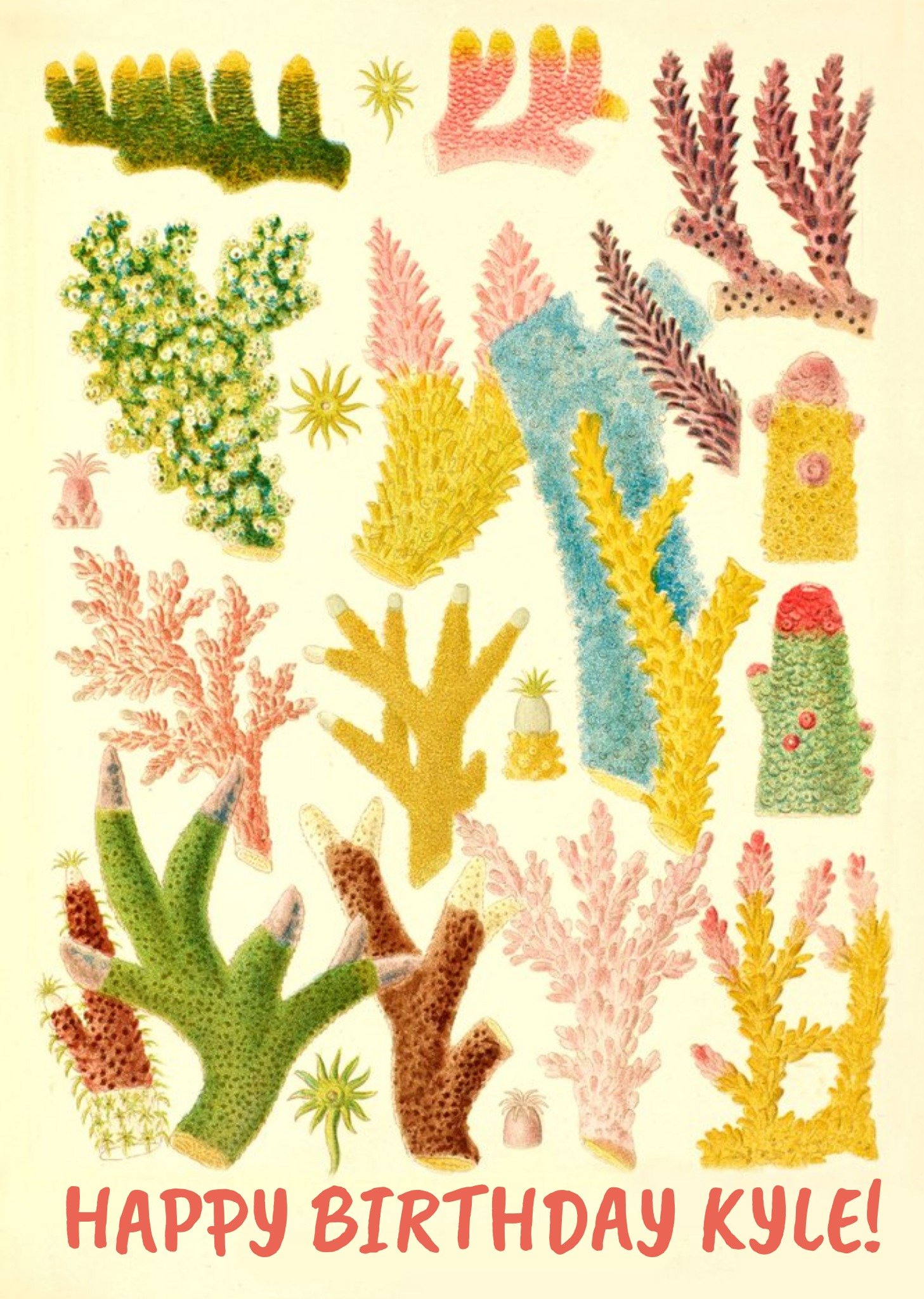 The Natural History Museum National History Museum Coral Reef Happy Birthday Card Ecard