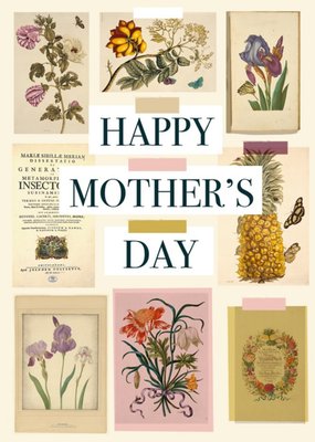 Natural History Museum Collaged Floral Mother's Day Card