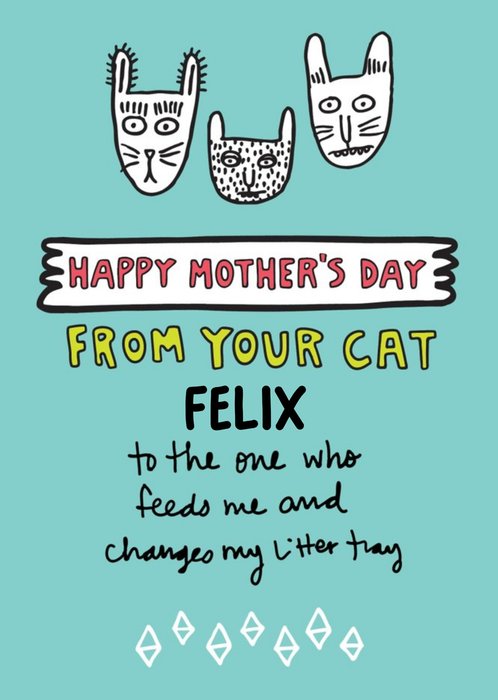 From The Cat Personalised Mother's Day Card