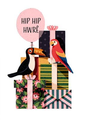 Folio Parrots and presents Welsh Happy Birthday Card