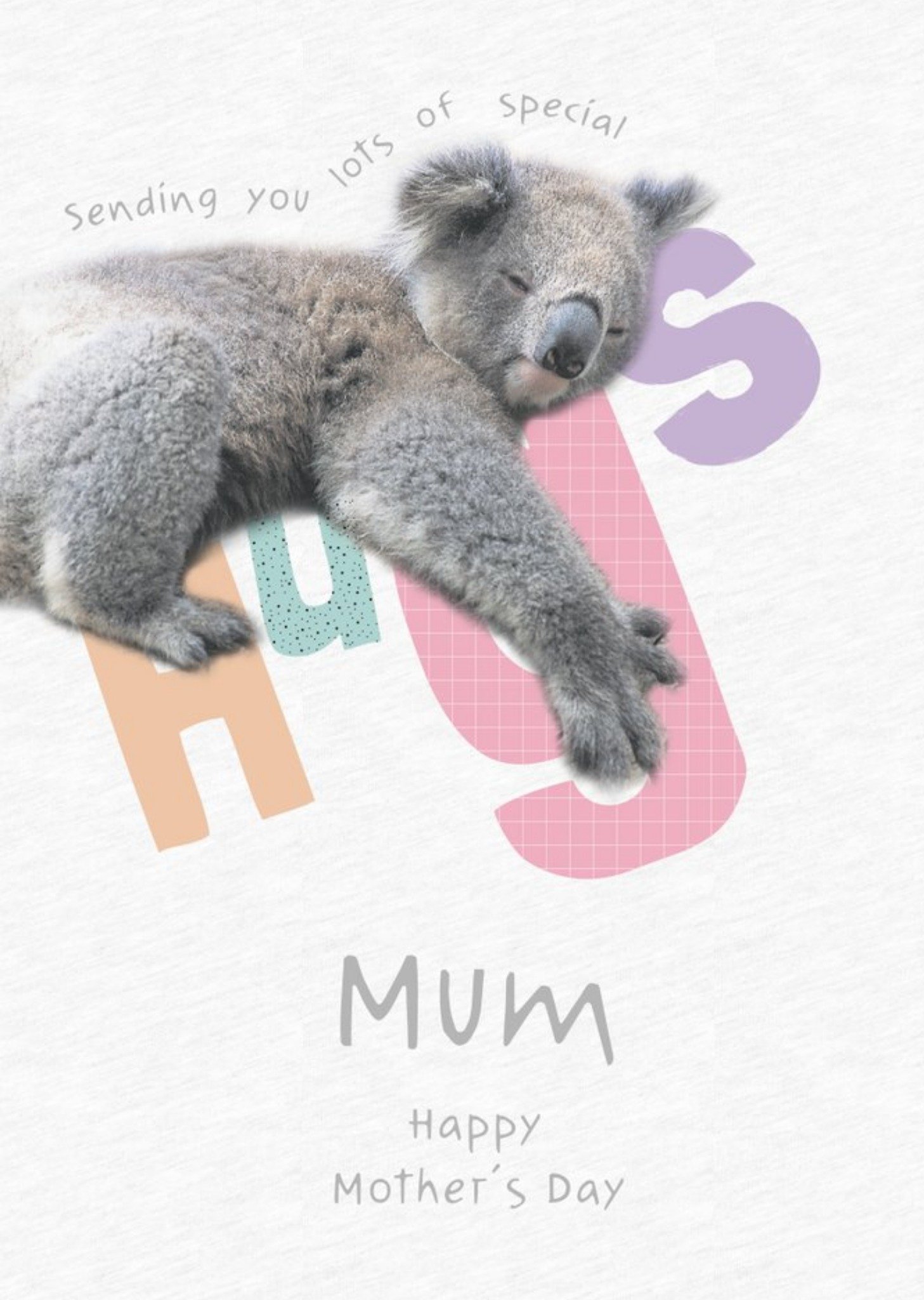 Animal Planet Sending You Lots Of Special Hugs Koala Mother's Day Card Ecard