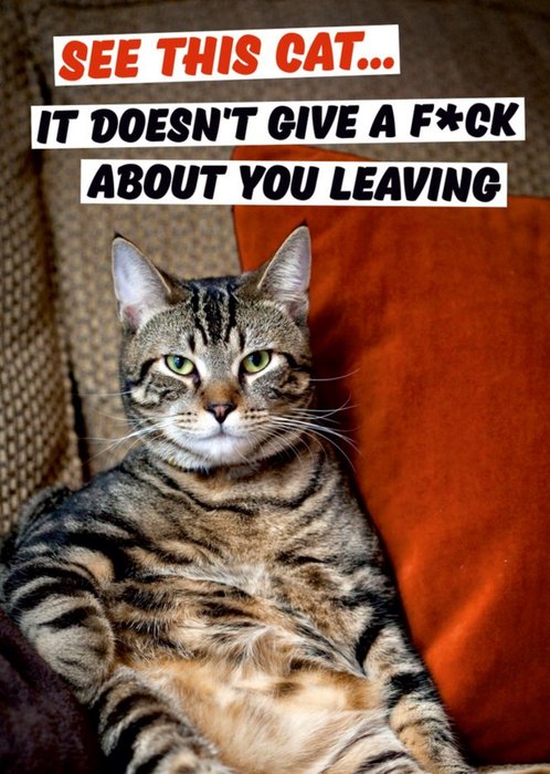 Dean Morris See This Cat Funny Leaving Card