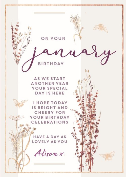 Edwardian Lady On Your January Birthday Card