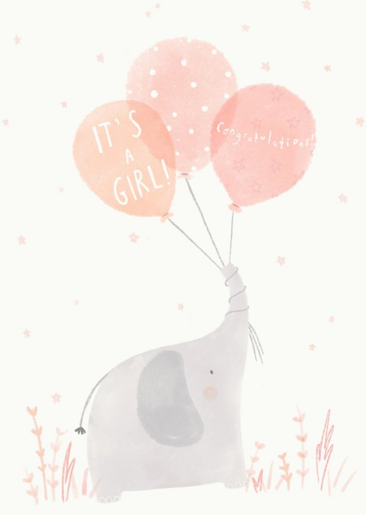 Moonpig Beth Fletcher Illustrations Cute Illustrated New Baby Girl Animals Card, Large