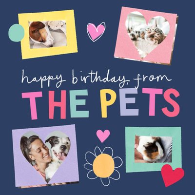 Four Colourful Photo Frames With Handwritten Typography From The Pets Photo Upload Birthday Card