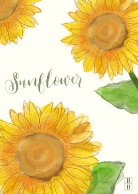 Golden Yellow Sunflower Flowers Personalised Postcard