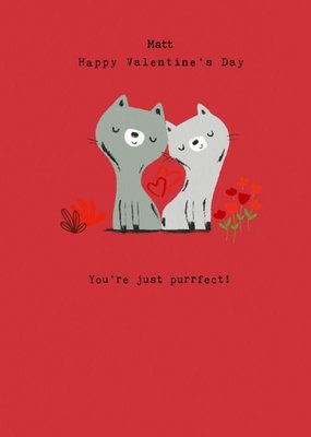 Cute Illustration Of Two Cats With Two Lovehearts You're Just Purrfect Valentine's Day Card