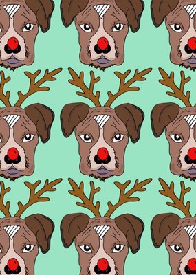 Fun Illustration Red Nose Dog Reindeer Christmas Card
