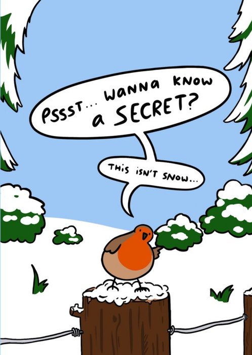 Funny Robin Snowy Poop Christmas card
