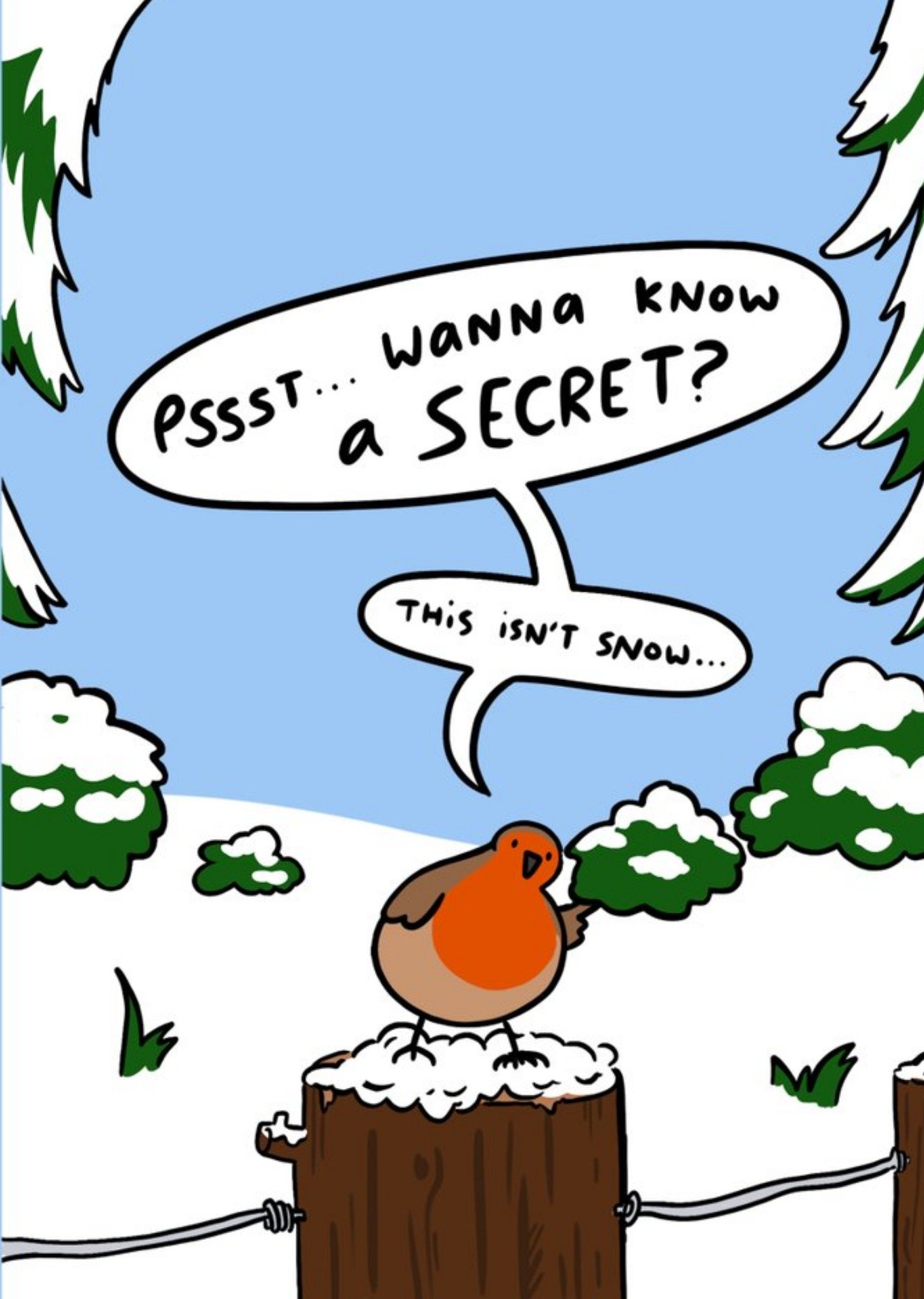 Funny Robin Snowy Poop Christmas Card