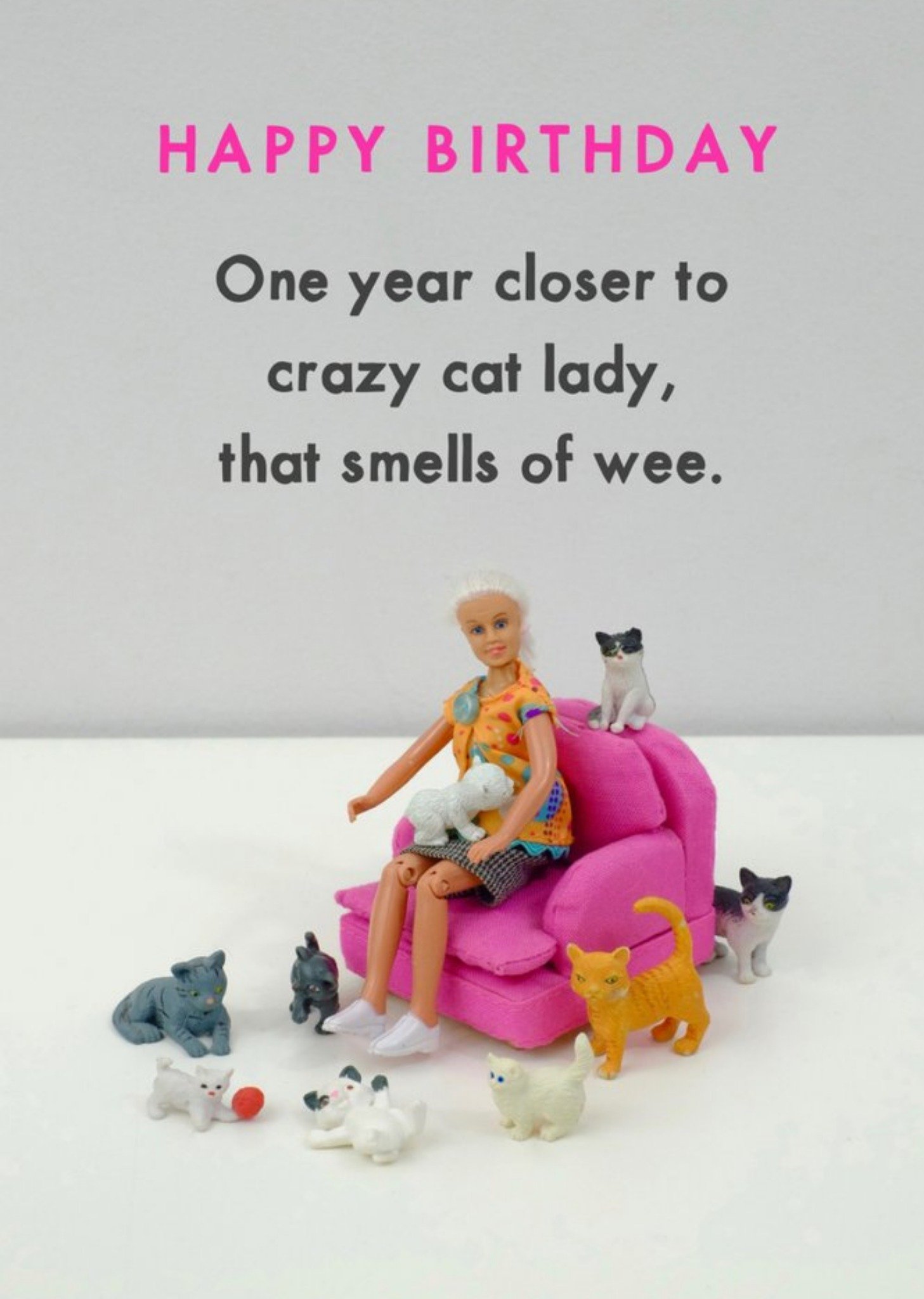 Bold And Bright Funny Dolls One Year Closer To Crazy Cat Lady Birthday Card, Large