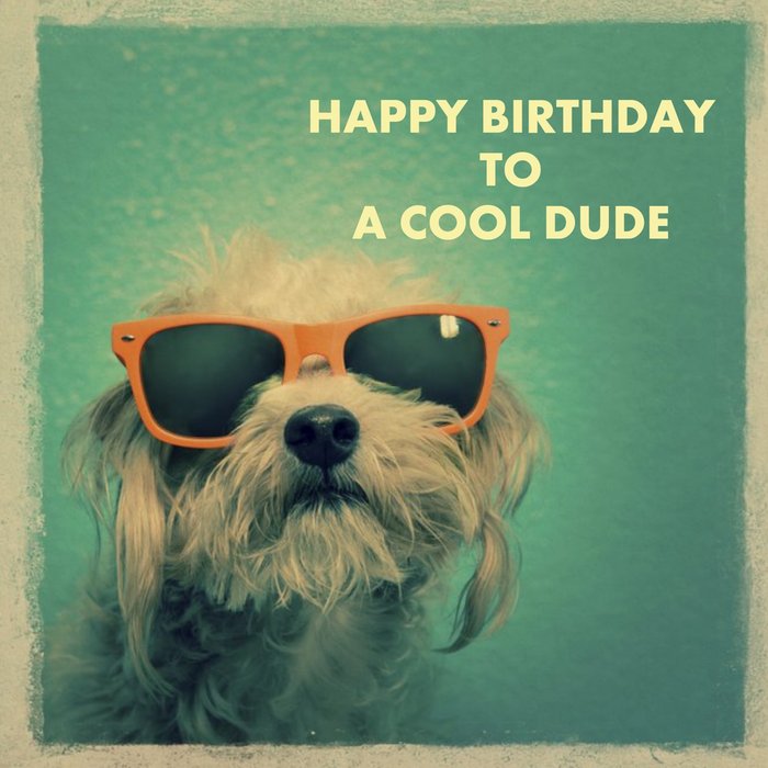 Dog Wearing Sunglasses Happy Birthday To A Cool Dude Card