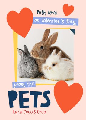 From The Pets Photo Upload Valentine's Day Card