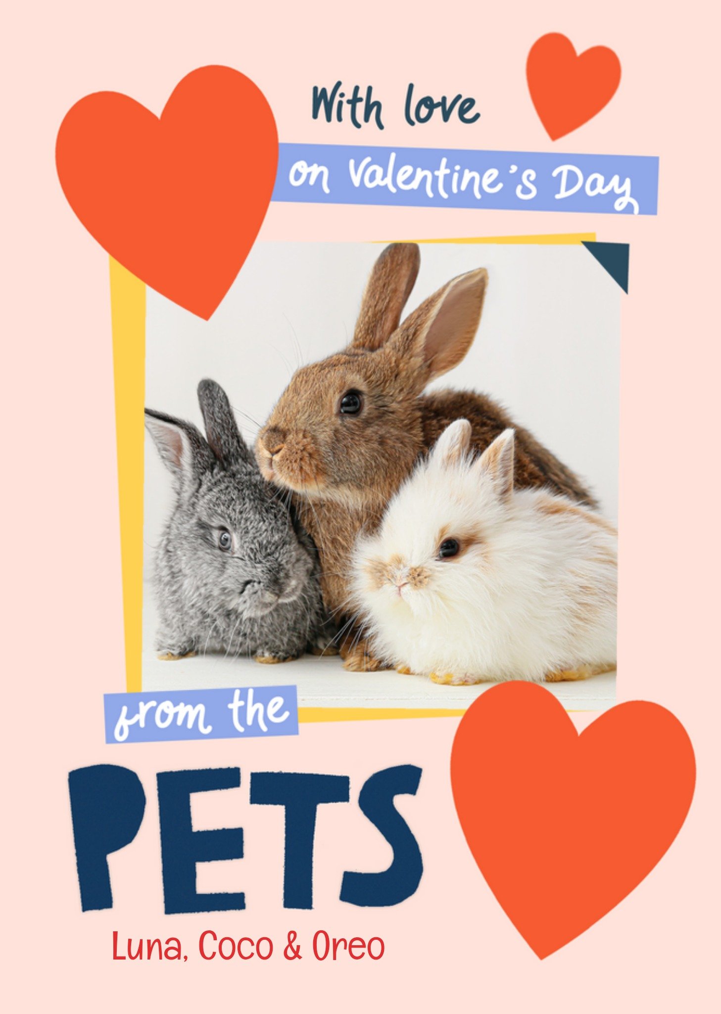 Moonpig From The Pets Photo Upload Valentine's Day Card Ecard