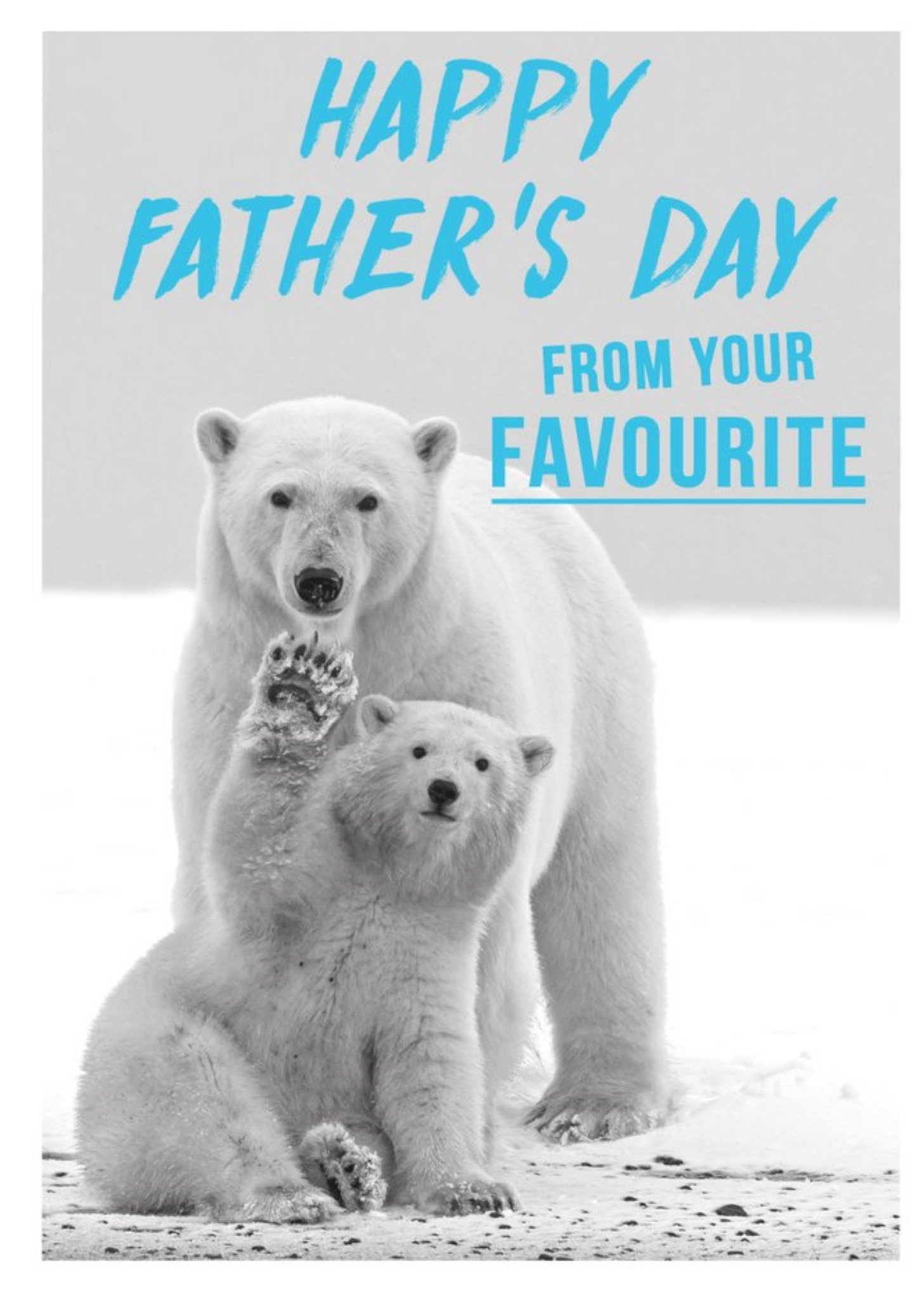 Happy Fathers Day From Your Favourite Card Ecard