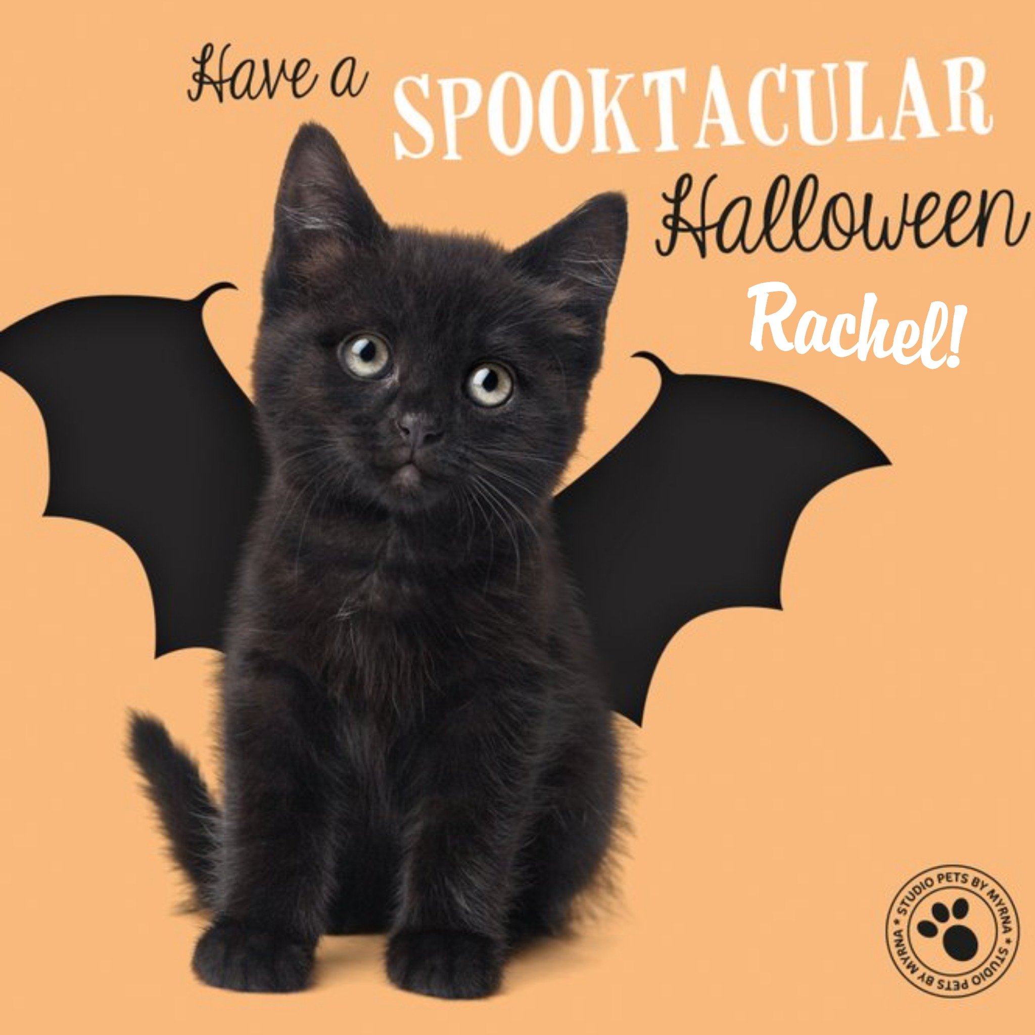 Studio Pets Cute Kitten Personalised Halloween Card, Square
