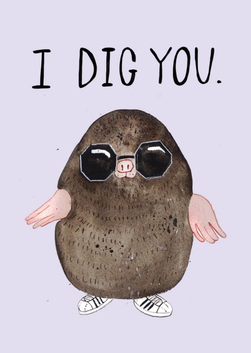 Cute Illustration Of A Mole Wearing Cool Shades I Dig You Funny Pun Valentines Day Card