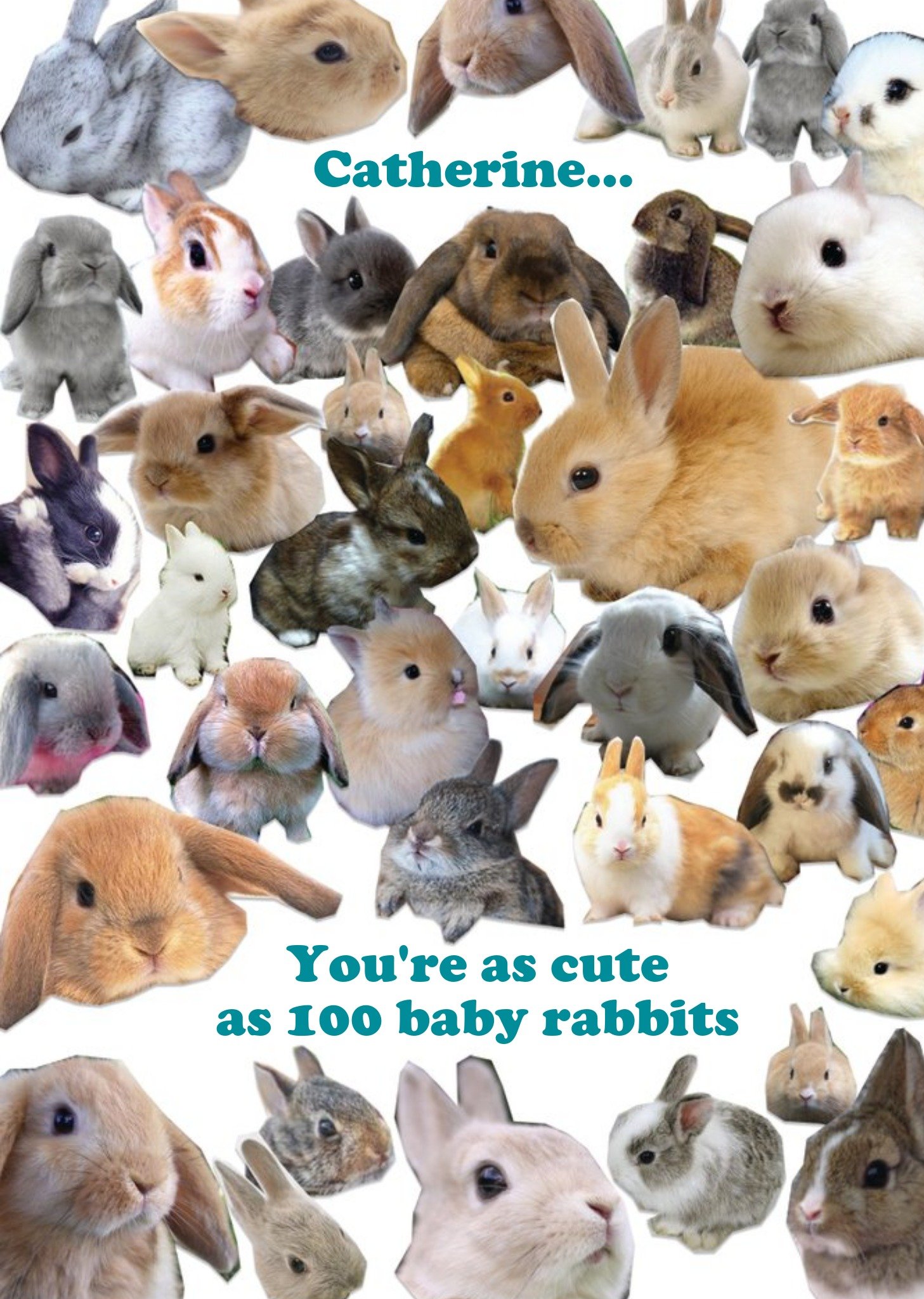 Personalised Name You Are As Cute As 100 Baby Rabbits Card Ecard