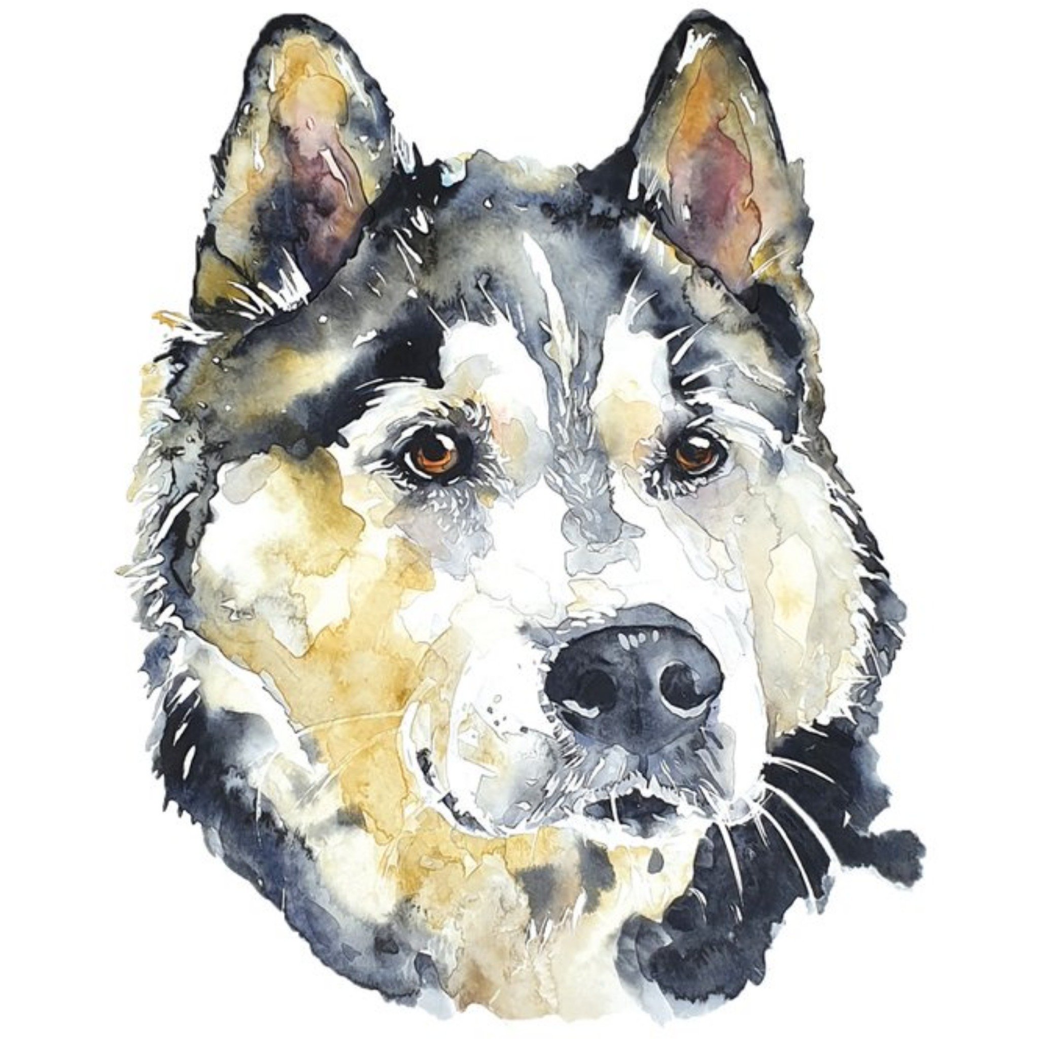 Moonpig Illustrated Watercolour Dog Siberian Husky Just A Note Card, Square