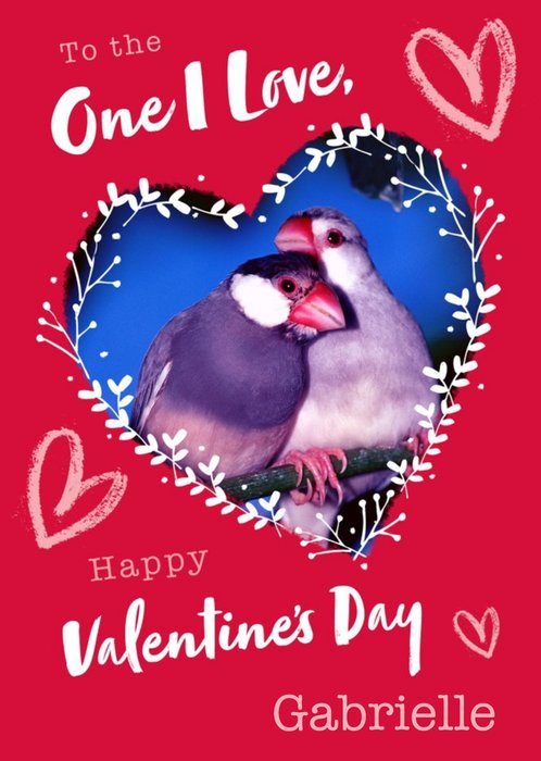 Animal Planet One I Love Birds Valentine's Day Card