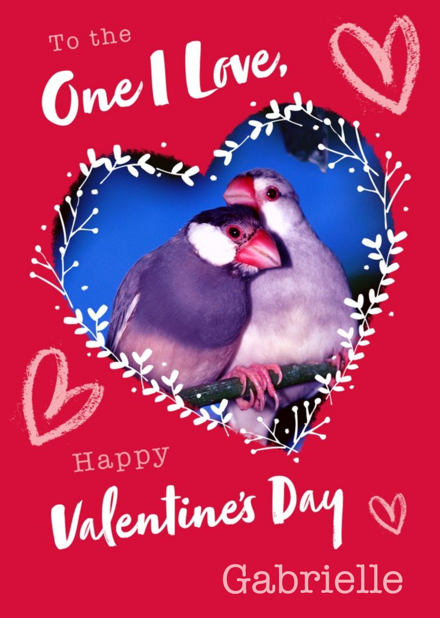 Moonpig Animal Planet One I Love Birds Valentine's Day Card, Large