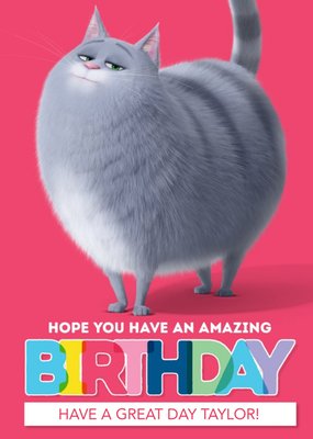 Universal Secret Life Of Pets 2 Kids Amazing Birthday Card featuring Chloe the Cat