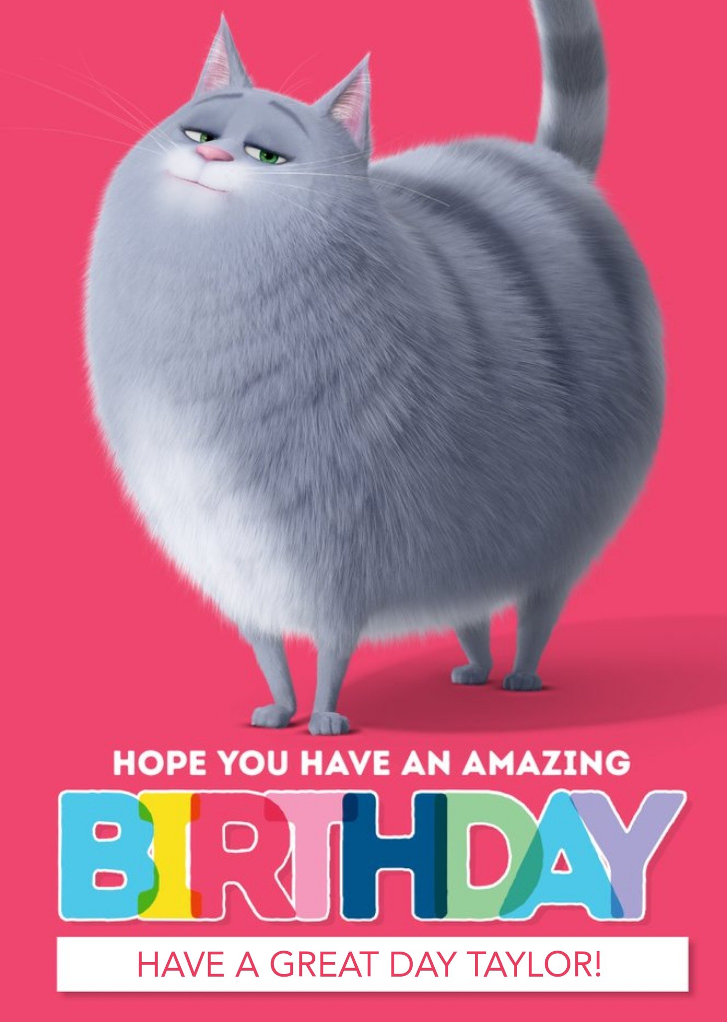 Moonpig Universal Secret Life Of Pets 2 Kids Amazing Birthday Card Featuring Chloe The Cat, Large
