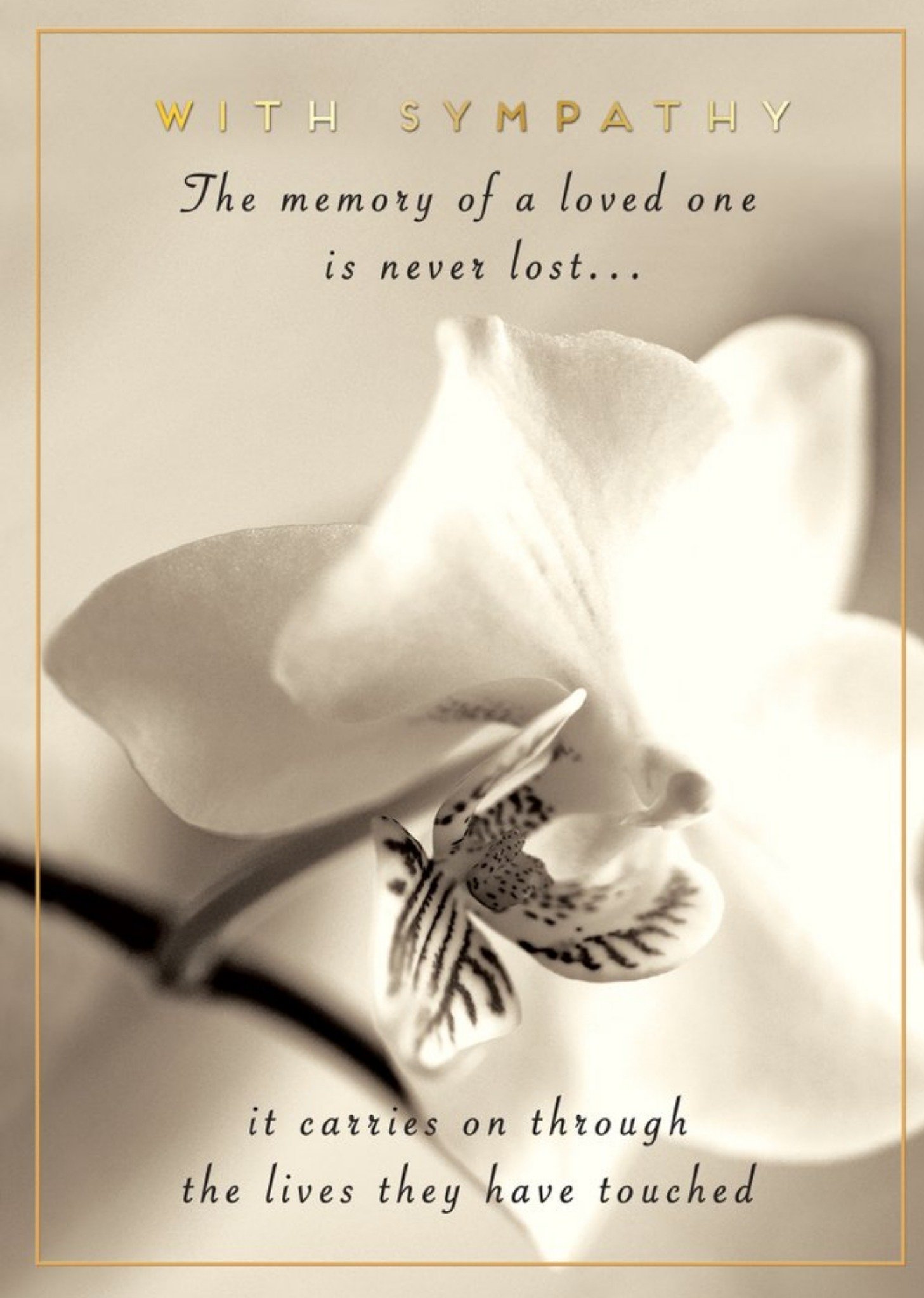 Pigment Memory Of A Loved One Sympathy Card Ecard