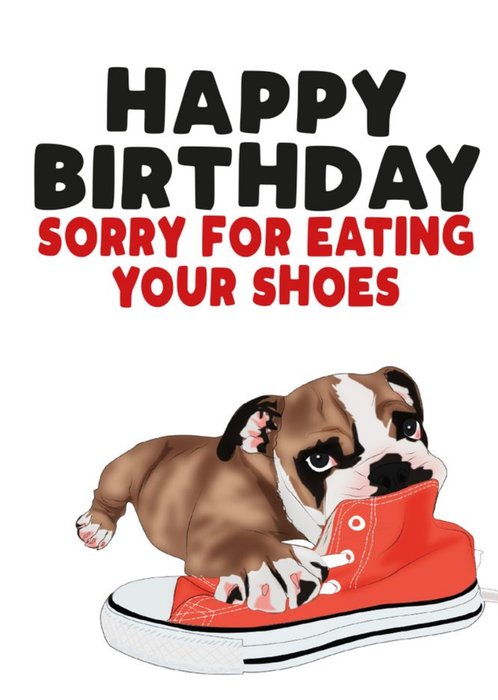 Sorry for eating your shoes Dog Happy Birthday Card