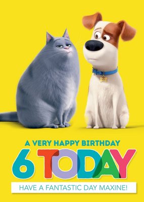 The Secret Life Of Pets 6 Today Birthday Card