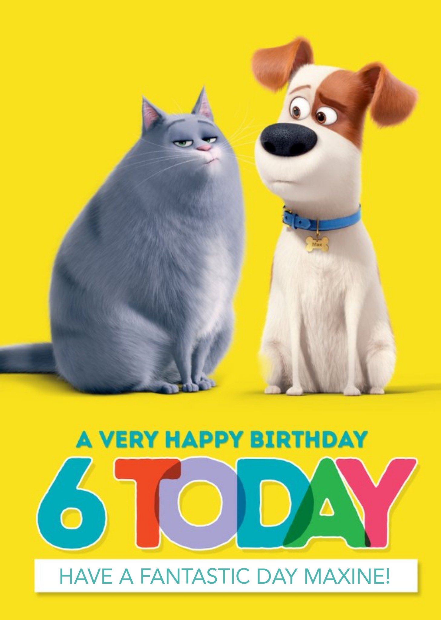 Moonpig The Secret Life Of Pets 6 Today Birthday Card, Large