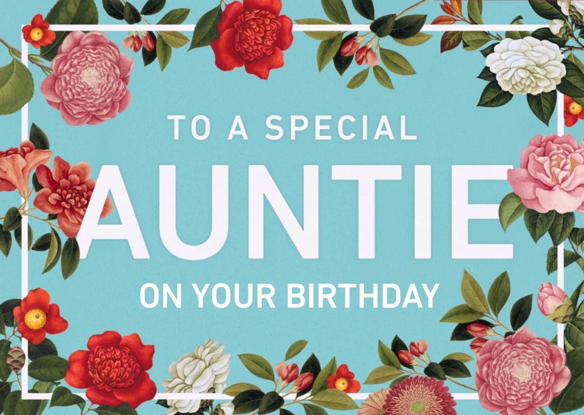 The Natural History Museum Special Auntie Pink Flower Birthday Card, Large