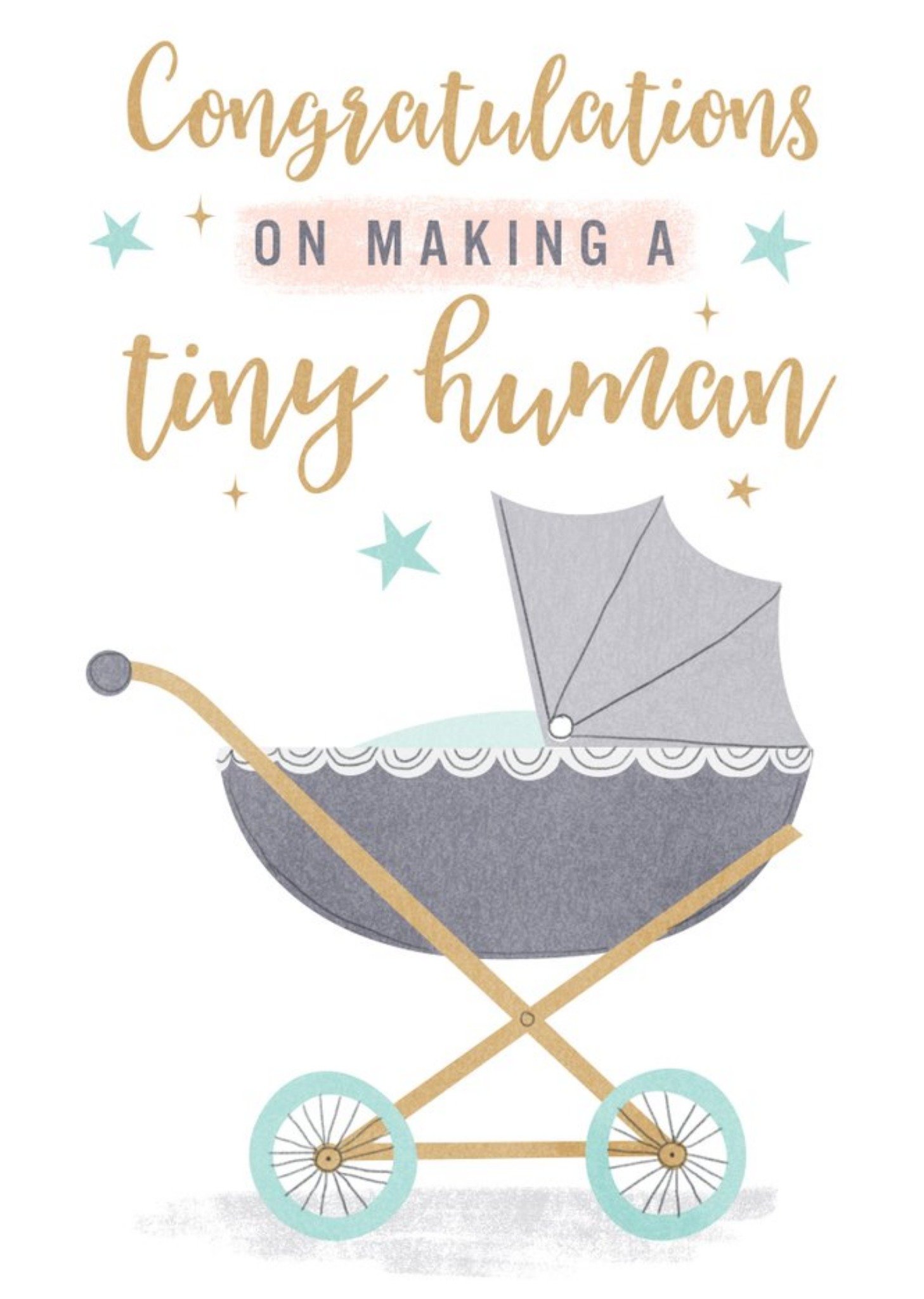 Congratulations On Making A Tiny Human Cute New Baby Card