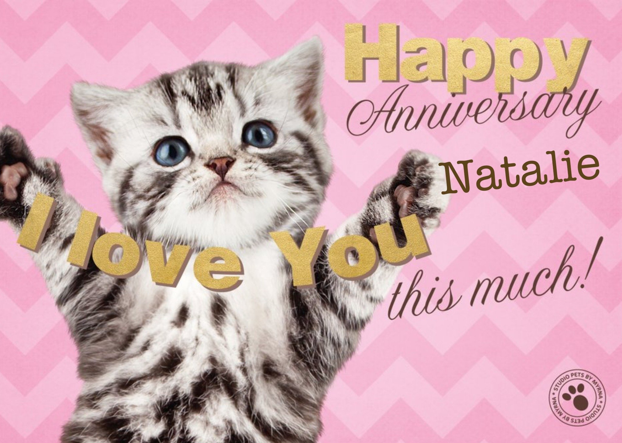Studio Pets Kitty Loves You Personalised Happy Anniversary Card For Wife, Large