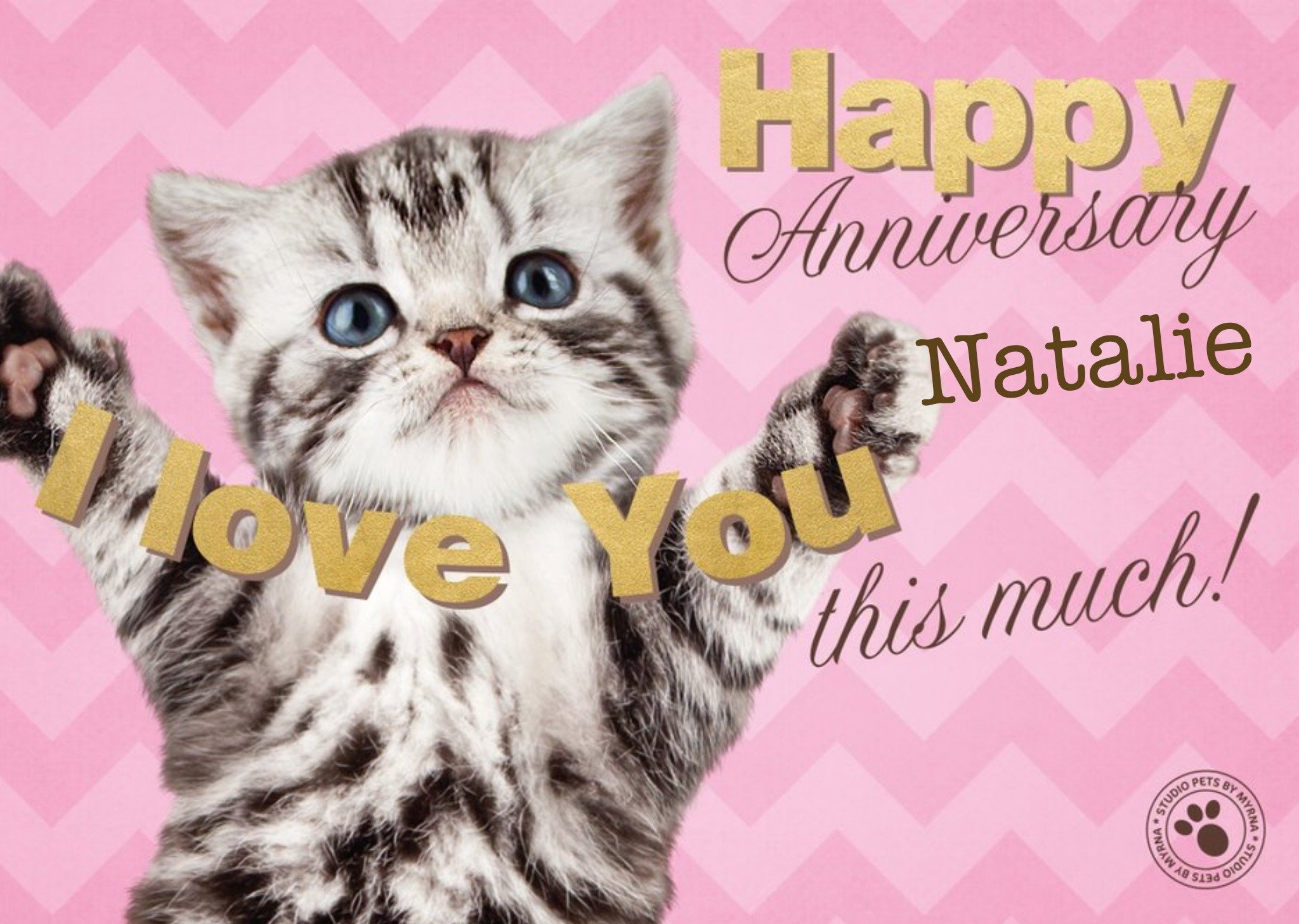 Studio Pets Kitty Loves You Personalised Happy Anniversary Card For Wife