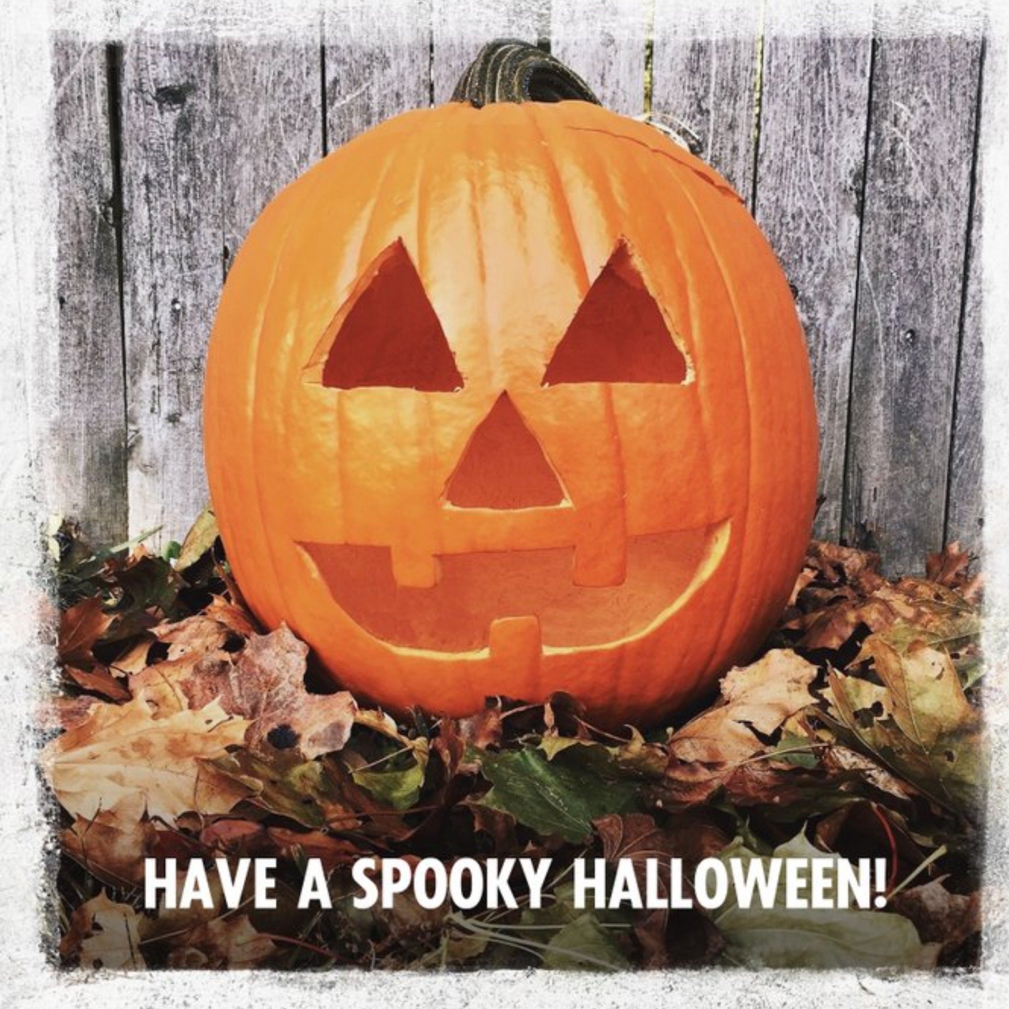 Jack-O-Lantern Halloween Card, Square