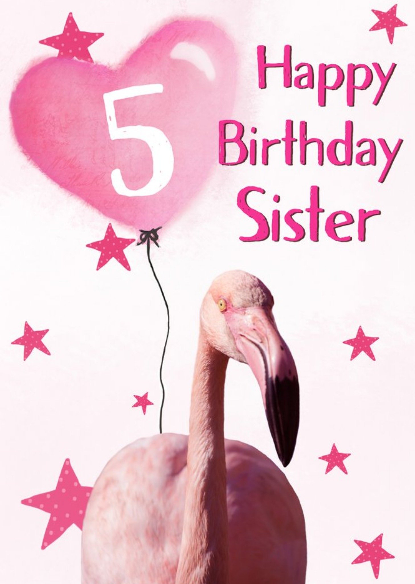 Moonpig Alex Sharp Photography Flamingo 5th Sister Female Birthday Card, Large