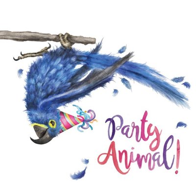 Party Animal Pun Bird Card