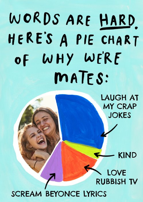 CALM Funny Pie Chart Of Why We Are Mates Photo Upload Card