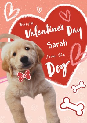 Animal Planet From The Dog Valentine's Day Card