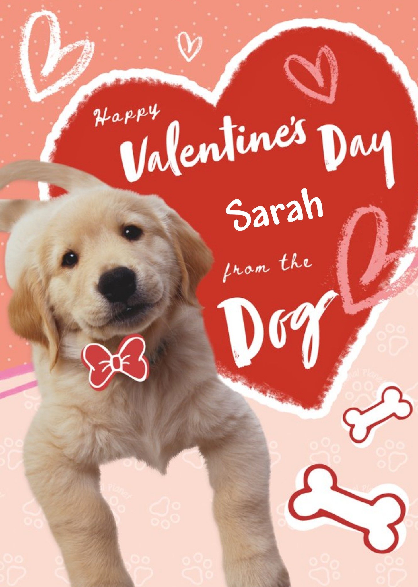 Animal Planet From The Dog Valentine's Day Card Ecard