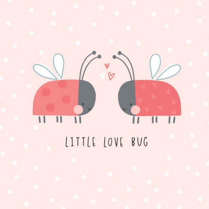 Cute Illustrated Little Love Bug Card