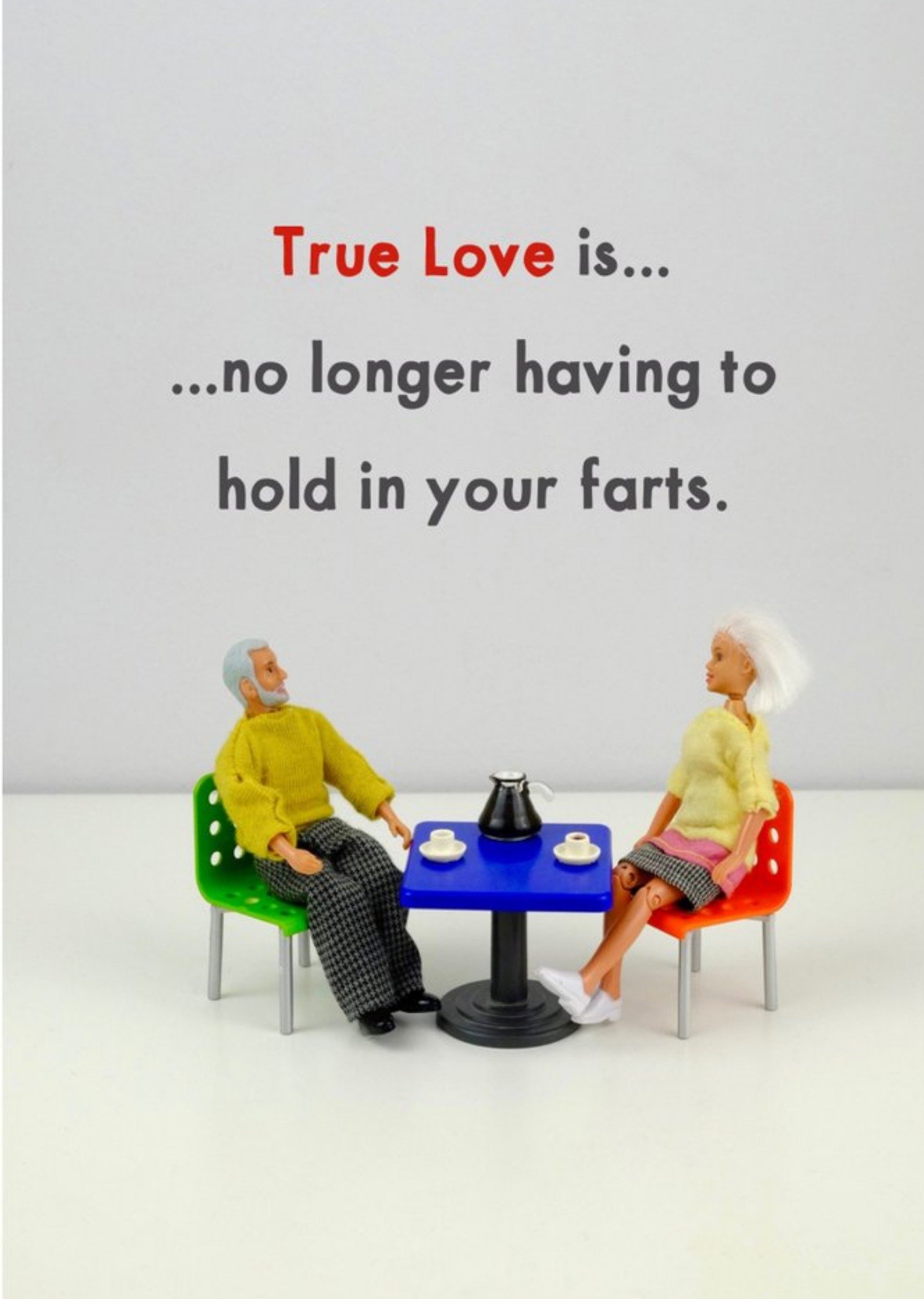 Bold And Bright Funny Dolls True Love Is No Longer Having To Card, Large