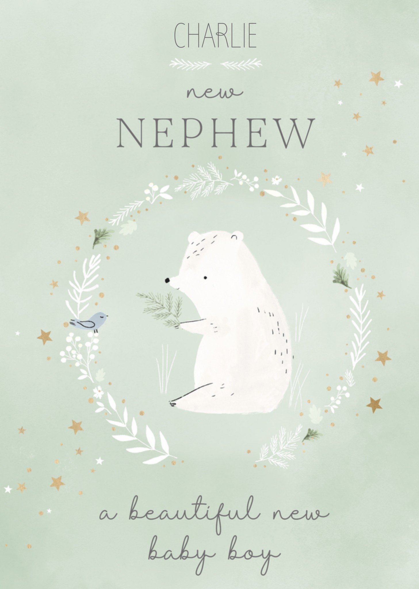 Moonpig New Nephew Bear New Baby Card Ecard