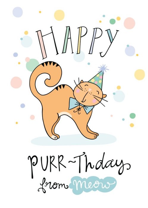 Funny Side Up Illustrated Cat Female From The Cat Birthday Card