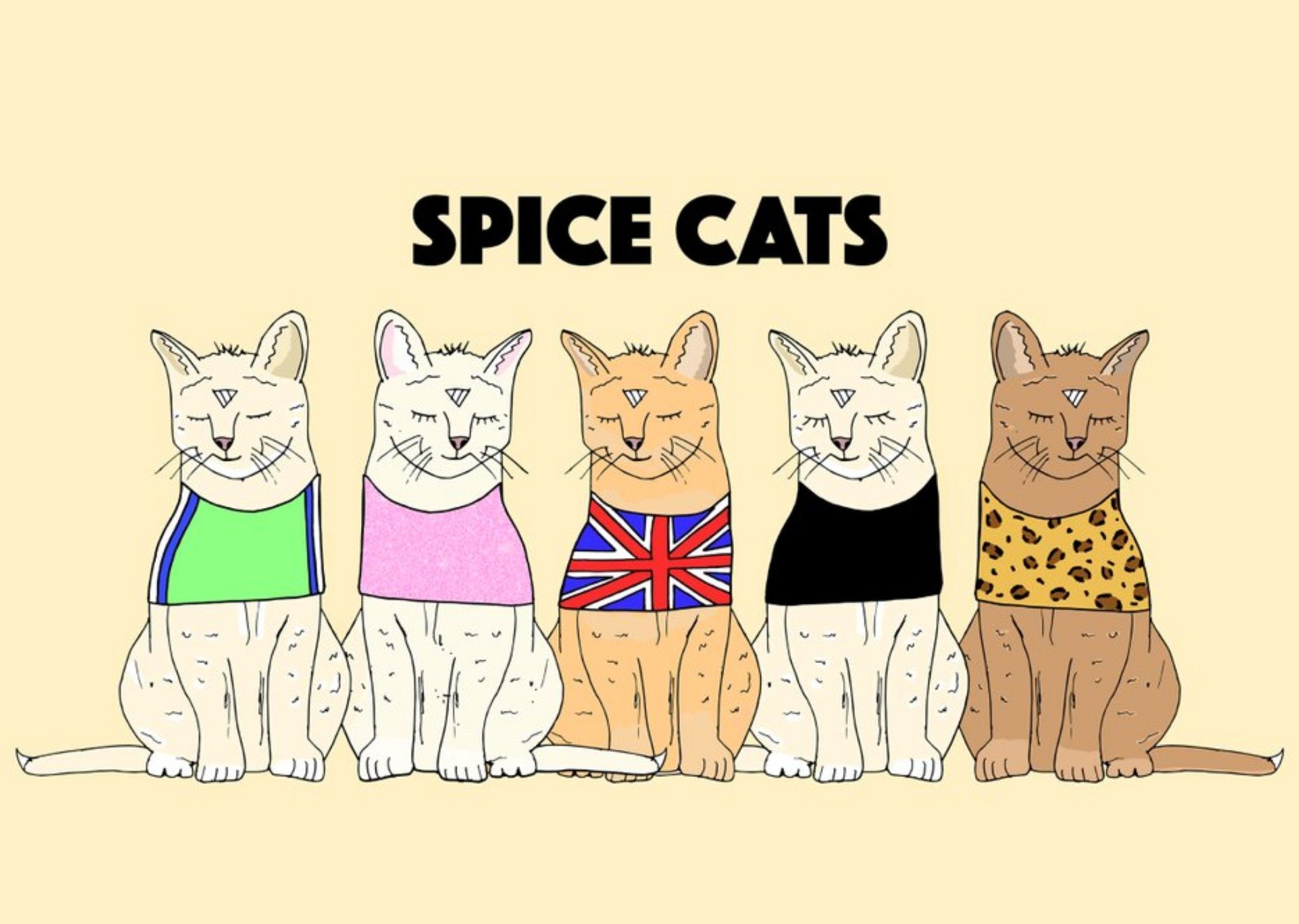 Moonpig Cute Illustration Spice Cats Card Ecard