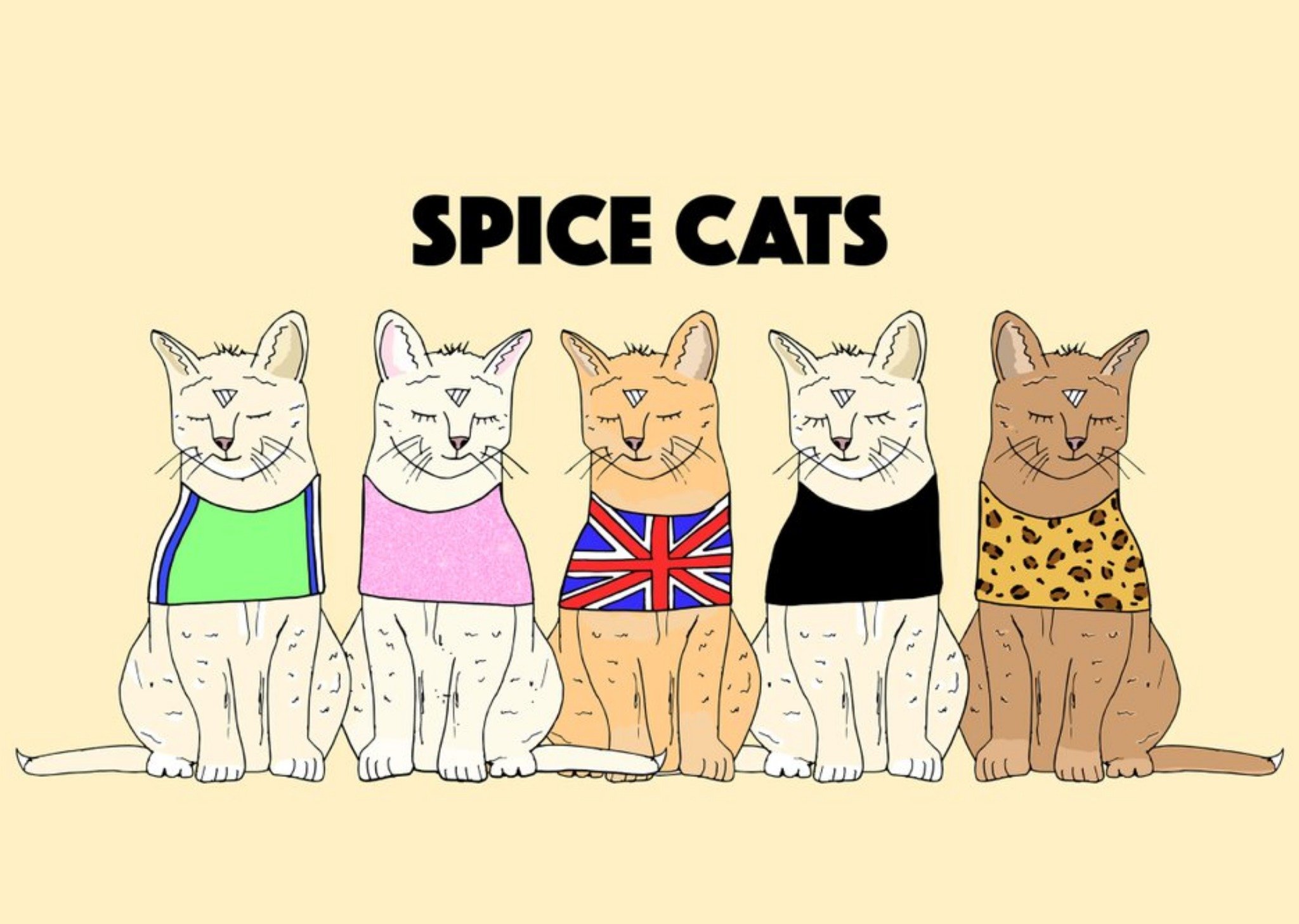 Cute Illustration Spice Cats Card Ecard