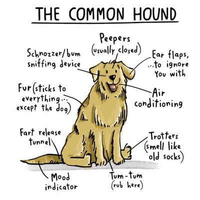 Funny The Common Hound Birthday Card