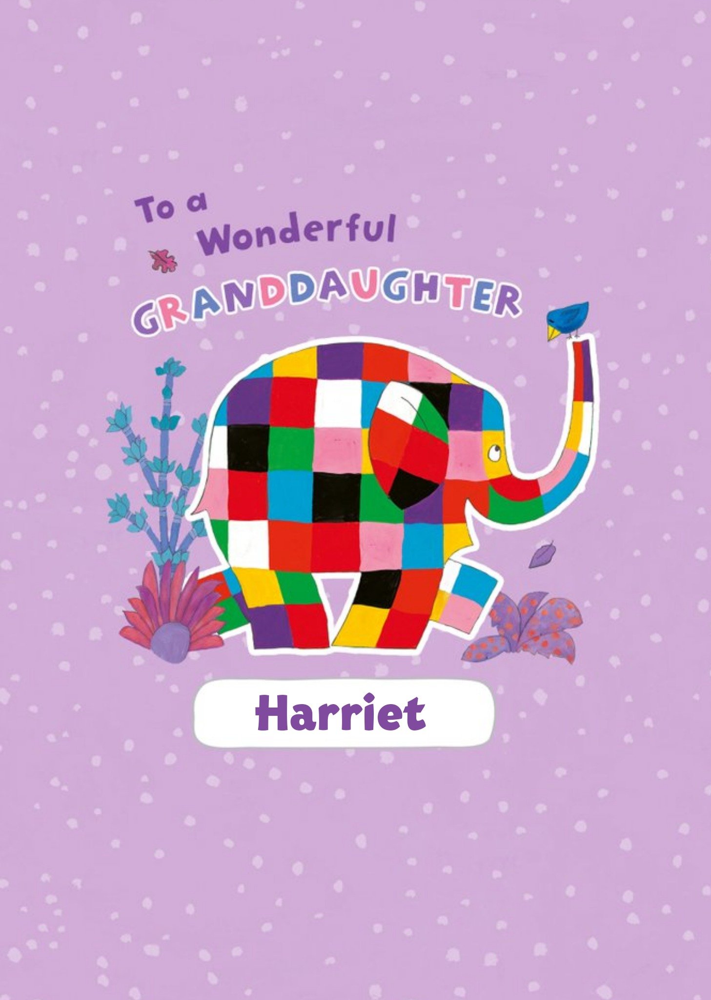 Moonpig Danilo Cute Elmer Wonderful Granddaughter Birthday Card, Large