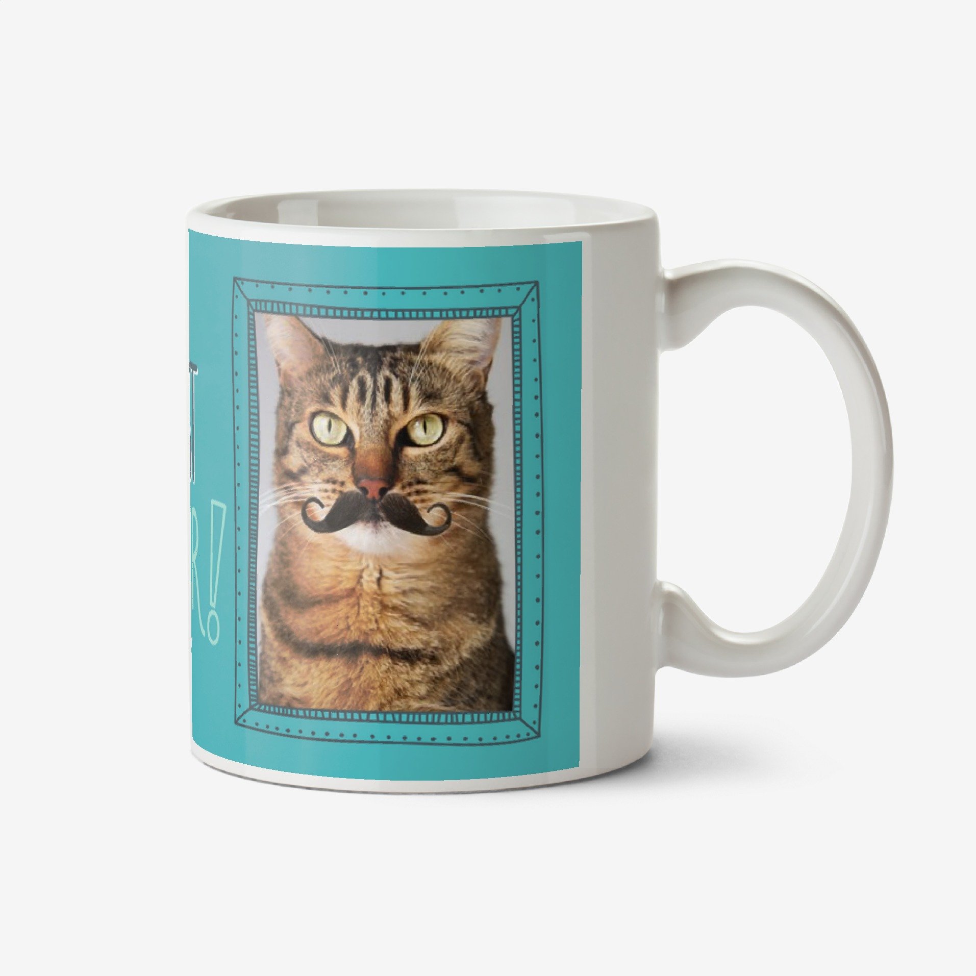 Custom You're The Best Pet Dad Ever Photo Mug Ceramic Mug